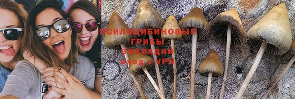 MESCALINE Вязьма