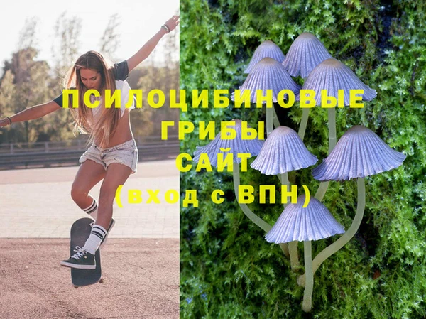 герыч Вяземский
