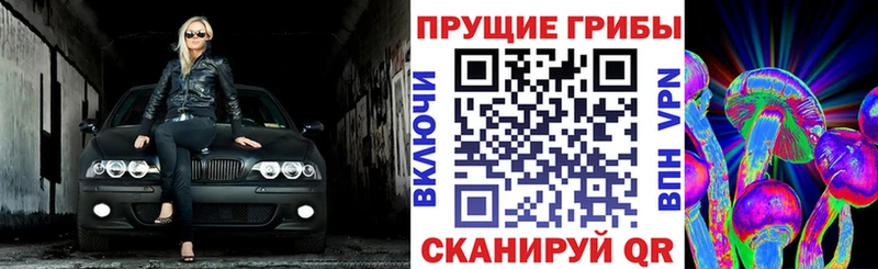 наркотики Елизаветинская Псилоцибиновые грибы MAGIC MUSHROOMS